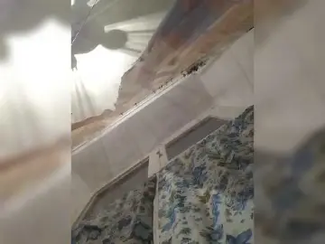 CerdAyaz  live sex cam