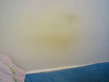 Berryjulie  live sex cam