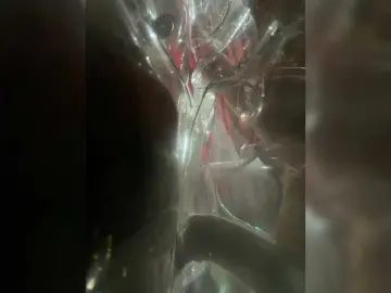 LunaBiely  live sex cam