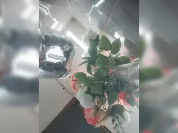 LunaBiely  live sex cam