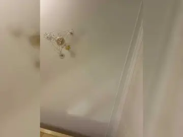 Avolood  live sex cam