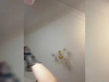 Avolood  live sex cam