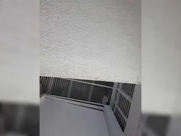 ElizHarper  live sex cam