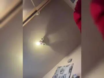 Bellaqueen0701  live sex cam