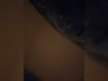 Leabricotss  live sex cam