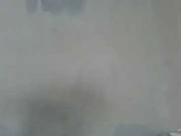 Estela  live sex cam