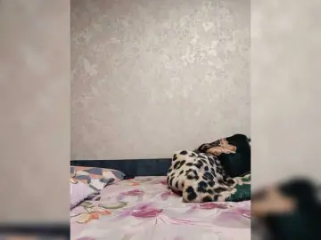 Adelj  live sex cam
