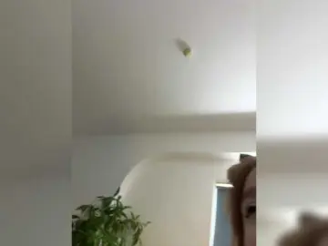 LittleDelora  live sex cam