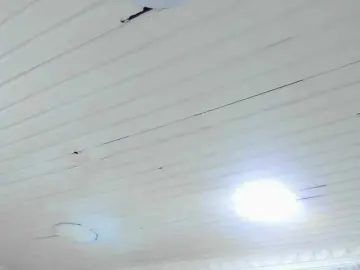 CloheBell  live sex cam