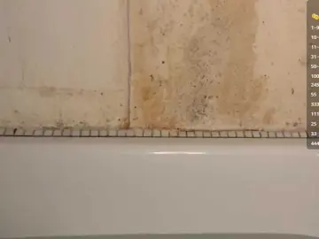 BrigidaTapscott  live sex cam