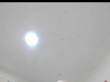 Totalslave  live sex cam