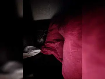 NinaBelluschi  live sex cam