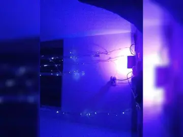 NinaBelluschi  live sex cam