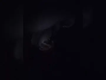 NinaBelluschi  live sex cam