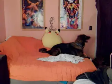 AsiaGoesPro  live sex cam