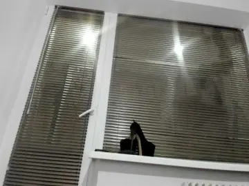 RosyFoxy  live sex cam