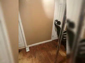 AlyssaBennet  live sex cam