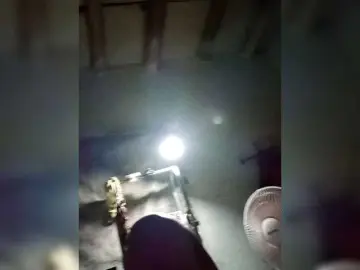 REINALILA1  live sex cam