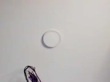 Venusxadam  live sex cam