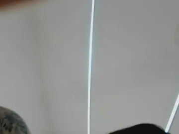 Zooeyboobies  live sex cam