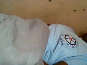 Rosah  live sex cam