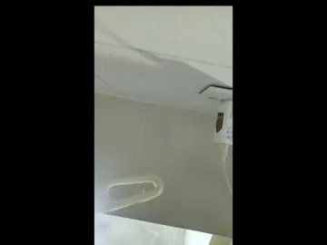 Ranialatif  live sex cam