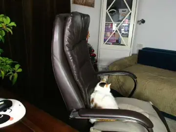 Amasha111  live sex cam