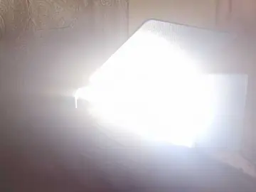 B3lla  live sex cam