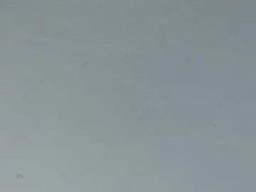 Squirtbbw  live sex cam