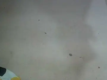 Miarizou  live sex cam