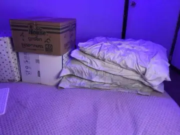 Sofilasanta  live sex cam