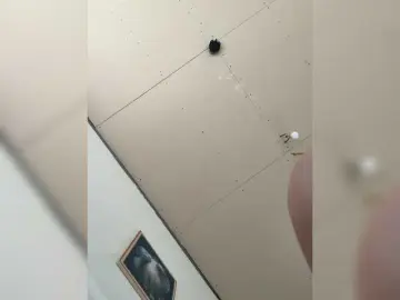 Mari12-1  live sex cam