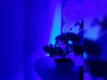 Georgina-Cross  live sex cam