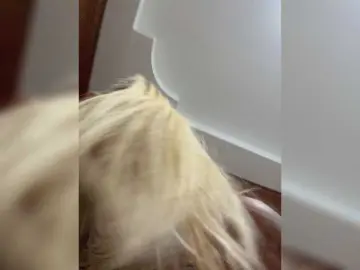 Tvoyasamka77  live sex cam