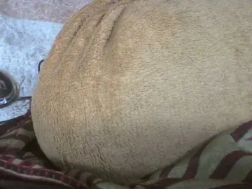 Tharcile  live sex cam
