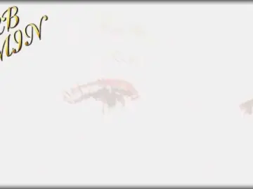 Devil2222  live sex cam