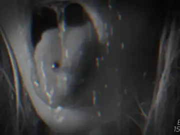 Devil2222  live sex cam