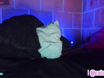 Cata-anngel  live sex cam