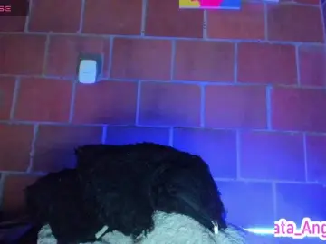 Cata-anngel  live sex cam