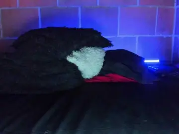 Cata-anngel  live sex cam