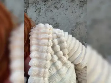 Miss-Tits2025  live sex cam