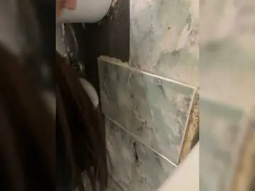 Lkjhgfdsa6  live sex cam