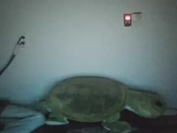 SapphireDior  live sex cam