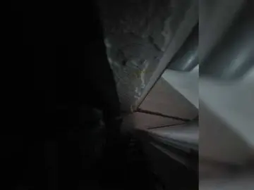 AmberLove12  live sex cam