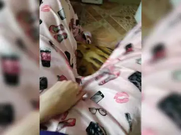 ZaraSss  live sex cam
