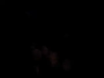 SamarLayali  live sex cam