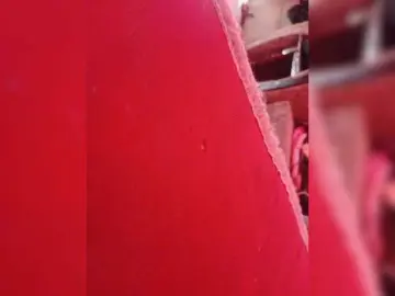 Vixenbarbie  live sex cam