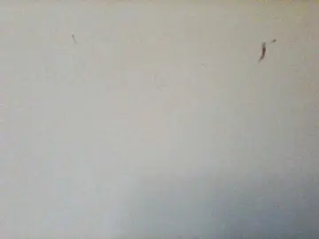 Auraluxe  live sex cam