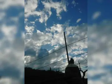 Lulu-Erotica  live sex cam