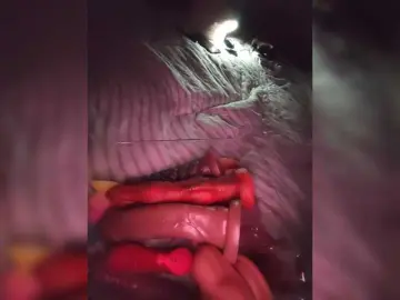 Tenderi  live sex cam